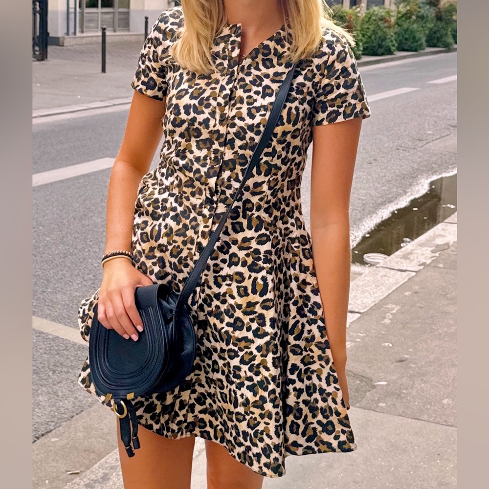 Zara Cheetah dress , wornonce